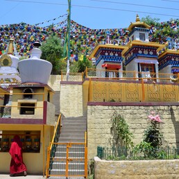 Szállás Dharamsala