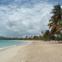 Hoteles en Isla Vieques