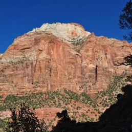 Hotels in Zion National Park