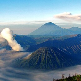 Hotels in Mt. Bromo