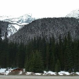Hotels in Rogers Pass