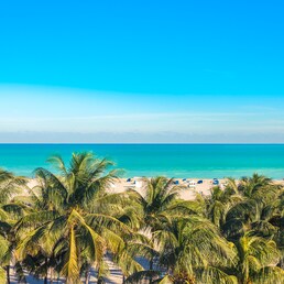 Hotele — Palm Coast