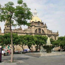 Hotels in San Patricio - Melaque