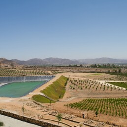 Hotels in Valle de Guadalupe
