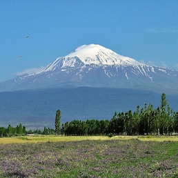 Hoteluri Ararat