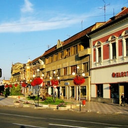 Hotels in Lugoj
