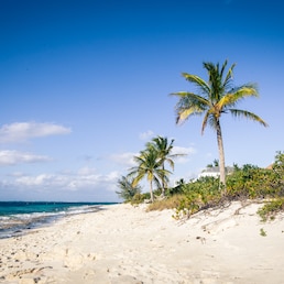 Hotels in Providenciales