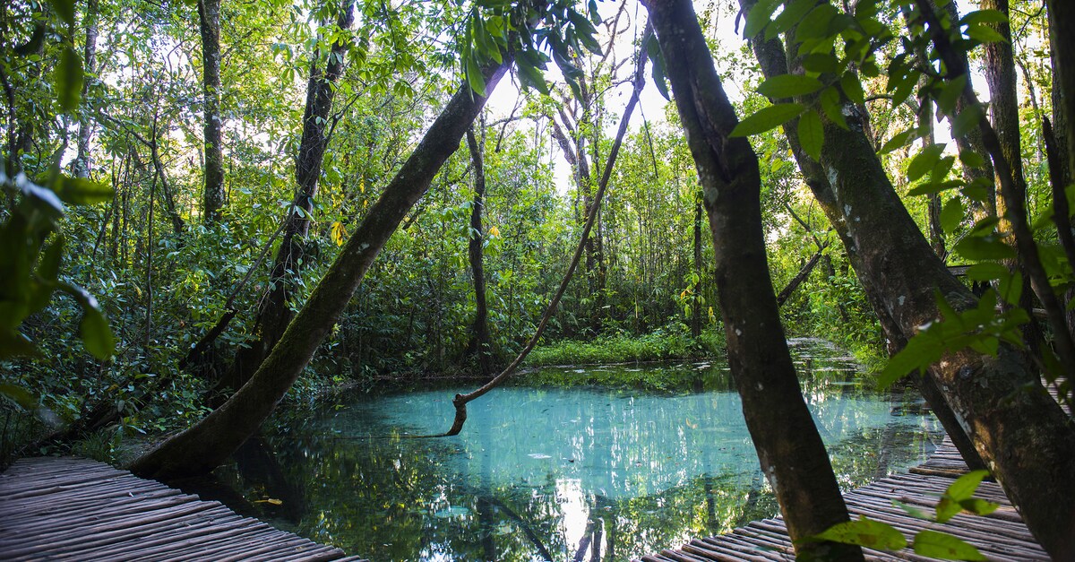 Pousada Lago das Pedras - Você sabia que a sinuca é um esporte