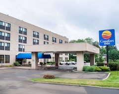 Otel Comfort Inn Binghamton I-81 (Binghamton, ABD)