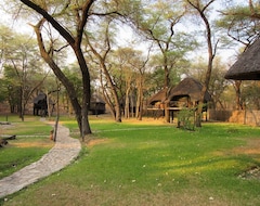 Guesthouse Tree Lodge Sikumi (Hwange, Zimbabwe)