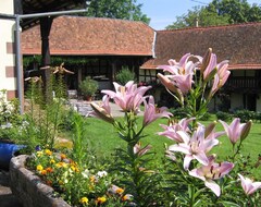 Toàn bộ căn nhà/căn hộ Independent Gite 60 M2 In Charming Alsatian Farm With Pool And Orchard (Schalkendorf, Pháp)