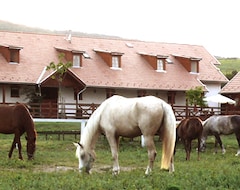 Hotel Equital Horse Farm and Wellness Pension (Nemesvita, Hungary)