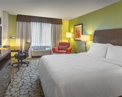 Hotel Hilton Garden Inn Denver South Park Meadows Area (Englewood, USA)