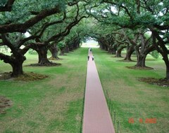 Hotel Oak Alley Plantation Restaurant & Inn (Vacherie, EE. UU.)