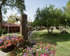 Resort Ginosar Village (Ginosar, İsrail)