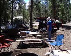 Camping White Wolf (Parque Nacional Yosemite, EE. UU.)