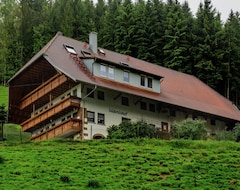 Toàn bộ căn nhà/căn hộ Comfortable Apartment With Balcony In A Quiet Location In The Black Forest (Mühlenbach, Đức)