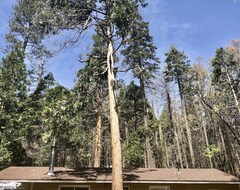 Cijela kuća/apartman Sequoia National Forest Cabinm (Kernville, Sjedinjene Američke Države)