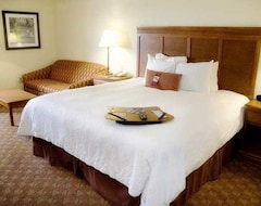Otel Hampton Inn & Suites Knoxville-Downtown (Knoxville, ABD)