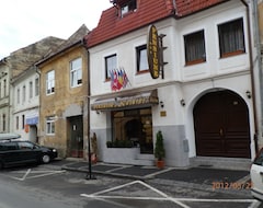 Hotel Pensiune Natural (Brasov, Romanya)