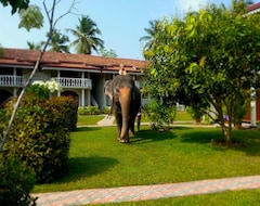 Hotel Bougain Villa (Galle, Šri Lanka)