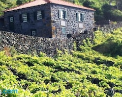 Toàn bộ căn nhà/căn hộ Stone Home Casa do Caisinho Pico island (Piedade do Pico, Bồ Đào Nha)