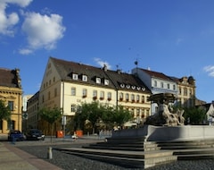 Hotel Ceska Koruna (Decin, Češka Republika)