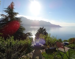 Toàn bộ căn nhà/căn hộ Spectacular View! Very Nice Apartment Overlooking The Lake And The Mountains! (Montreux, Thụy Sỹ)