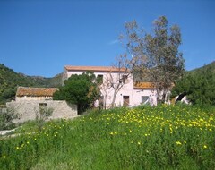 Koko talo/asunto Traditional Sardinian Farm House, Terrace, Garden, Close To Sea And Beach (Viddalba, Italia)