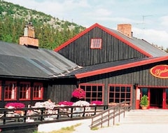 Skjerdingen Hoyfjellshotel (Ringebu, Norveška)