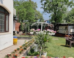 Hotel Golden bees gym & spa (Srinagar, India)