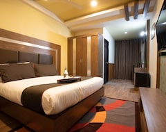 Hotel Collection O 50134 Nk Residency (Delhi, India)