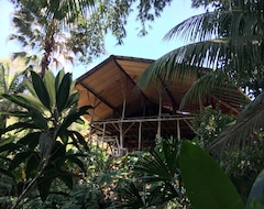 Hostel Cascada Verde (Puerto Cortés, Kostarika)