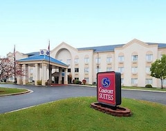Otel Comfort Suites South (Fort Wayne, ABD)