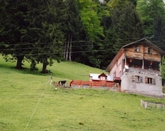 Pensión Fora Pansiyon (Rize, Turquía)