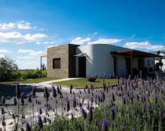 Guesthouse Pizzorno Lodge & Wine (Las Piedras, Uruguay)