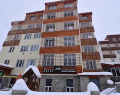 Hotel Holiday In Bakuriani (Bakuriani, Georgia)