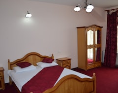 فندق Silva (Şimleu Silvaniei, رومانيا)