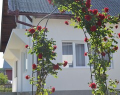 Toàn bộ căn nhà/căn hộ Transylvania Countryside House (Bârgăului, Romania)