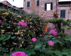 Koko talo/asunto Le Rondini (Assisi, Italia)