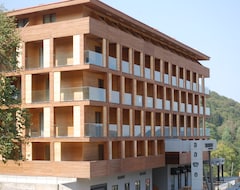 Aparthotel In Bakuriani (Bakuriani, Georgia)