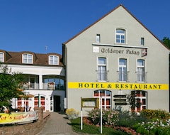 Hotel Goldener Fasan (Oranienbaum, Germany)