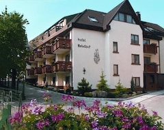 Khách sạn Hotel Rebstock (Ohlsbach, Đức)