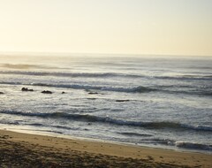 Hele huset/lejligheden Cottage On The Beach....watch The Waves....from Your Bed! (Qolora Mouth, Sydafrika)