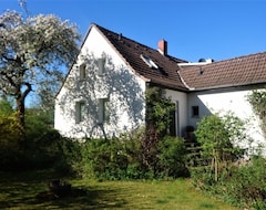 Tüm Ev/Apart Daire Sunny Cottage With Large Garden (Braunschweig, Almanya)