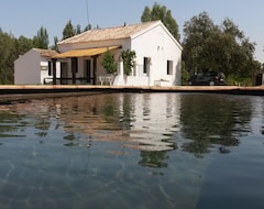 Pensión Andalusian Cozy Country House La Umbria de la ribera Casa del Guarda (El Pedroso, España)