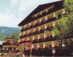 Khách sạn Panoramahotel Pawlik (Bad Gastein, Áo)