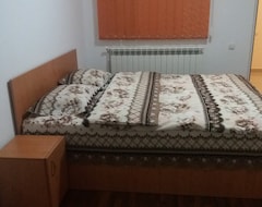 Guesthouse Pensiunea Driver (Orăştie, Romania)