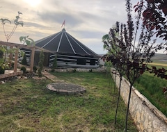 Campingplads Göbeklitepe Çadır Saray Konuk evi (Şanlıurfa, Tyrkiet)