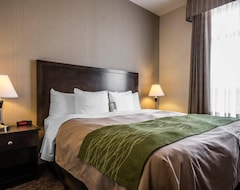Khách sạn Comfort Inn & Suites (Vancouver, Canada)